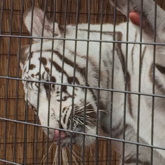 Meet your Posher, Vicki - Picture 1 of 1